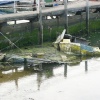 Reflections, Bembridge, Isle of Wight