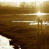 Winter walk by the Oxford Canal, Somerton