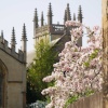 At the back of All Souls College, Oxford University
