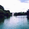 Lake, St. James Park, London