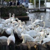 Windsor, Berkshire