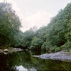 the river Dart