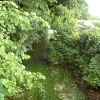 The Stream, Nether Langwith, Derbyshire