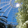 Sefton Park Palm House