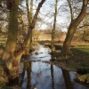 Bradgate Park, Leicester