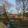 Bradgate Park, Leicester