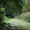 Anglesey Abbey Gardens, Lode, Cambridgeshire