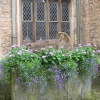Anglesey Abbey, Lode, Cambridgeshire