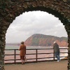 The view