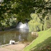 The Byes, Sidmouth, Devon