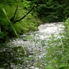 The River Wye on Millers Dale
