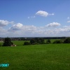 The Views