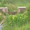 Poulter Country Park, Nether Langwith, Derbyshire