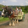 Victorian transport