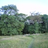 Walking down to Grin Low Wood from Solomon's Temple