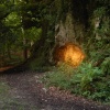 Near King Arthurs cave, Doward, Herefordshire.