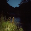 Chee Dale After Dusk