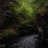 A Bridge Arch on  Wye Dale at dusk