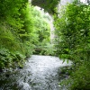 Chee Dale Viaduct