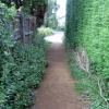 C.S. Lewis Reserve