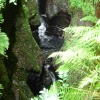 Lydford Gorge