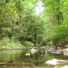 Lydford Gorge