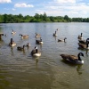 Arrow Valley Lake, Redditch, Worcestershire