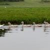 Hatchet Pond