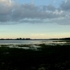 Fishbourne Creek