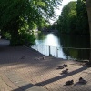 Minster Pool. Lichfield