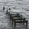 GROYNE
