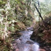 Lydford Gorge, Lydford, Devon