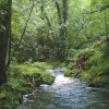 Lydford Gorge, Lydford, Devon
