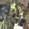 Devils Cauldron, Lydford Gorge, Lydford, Devon