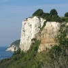 Beer cliffs, Devon