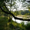 Path by pond on Wimbledon Common, Wimbledon, Greater London