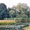 Blackwell, Worcestershire