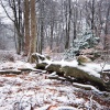 Lickey Hills Country Park, Lickey, Worcestershire