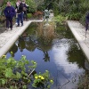 Heligan Garden pond, Mevagissey, Cornwall