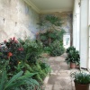 The Orangery at Calke Abbey, Ticknall, Derbyshire