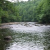 River Ure, Magdalen Wood, Grewelthorpe, North Yorkshire