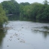 River Ure, West Tanfield, North Yorkshire