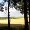 Hundred Acre Woods