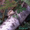 Hundred Acre Woods