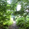 Hundred Acre Woods