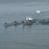 Waters Edge Country Park, Barton upon Humber, Lincolnshire