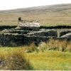 Isolated Sheep Pen Near Birkdale Beck