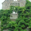 Escape for a day out at Nymans Garden, Handcross, West Sussex