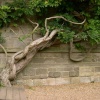 Escape for a day out at Nymans Garden, Handcross, West Sussex