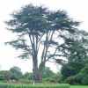 Escape for a day out at Nymans Garden